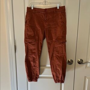 Sanctuary Brown Capri Pants with Textured Finish